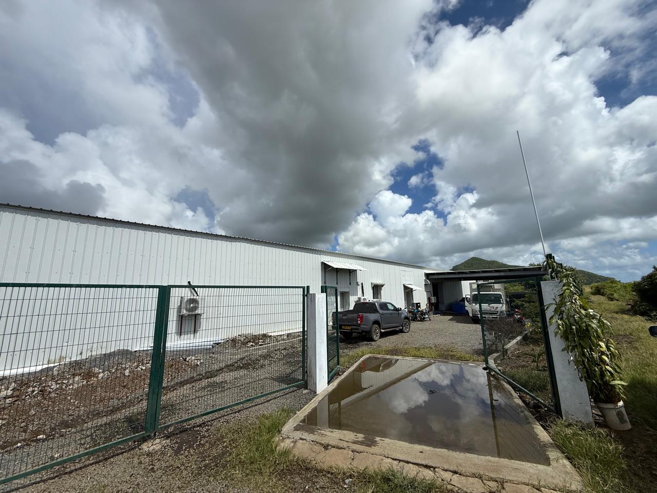 Modern high-tech poultry processing facility interior